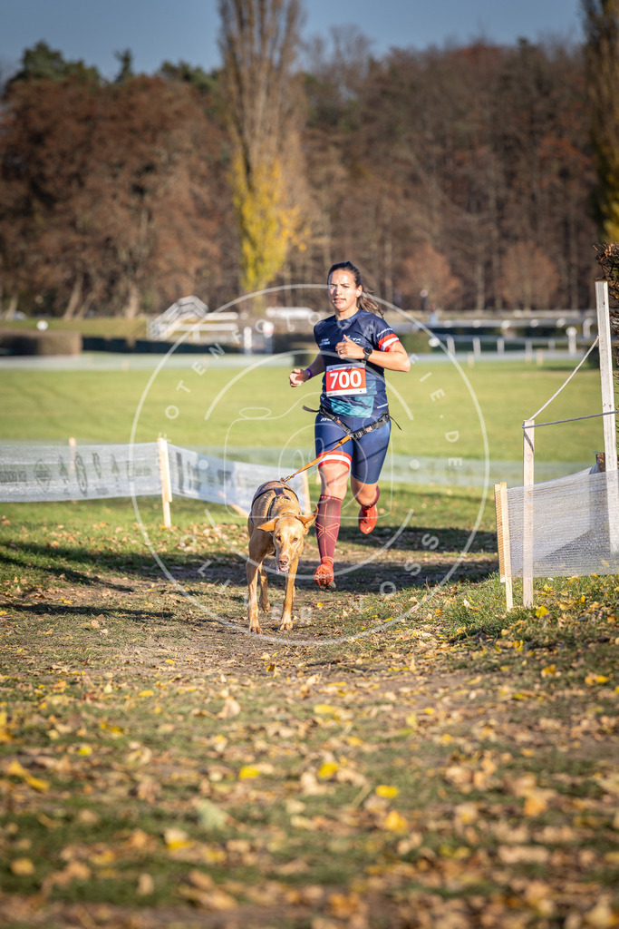 CaniXpix_DV3A1487 | Hundefotografie, Tierfotograf, Pfotenfotografie, Fotoshooting Hund, Hunde Portrait, Hundesport, Hundeportraits, Heideshooting, Hunde, Sportfotograf, Hundefotograf, Turnierhundsport, THS,  - Realisiert mit Pictrs.com