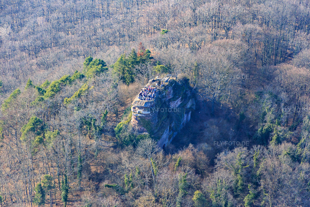 Luftbild: Burgruine Neukastel in Leinsweiler im Bundesland Rheinland-Pfalz in Deutschland. Foto: IMG_086456.jpg vom 18.03.2016 durch Werner Riehm/FLY-FOTO.deBurg Neukastel - Infos, Bilder und mehr - Burgenarchiv.de