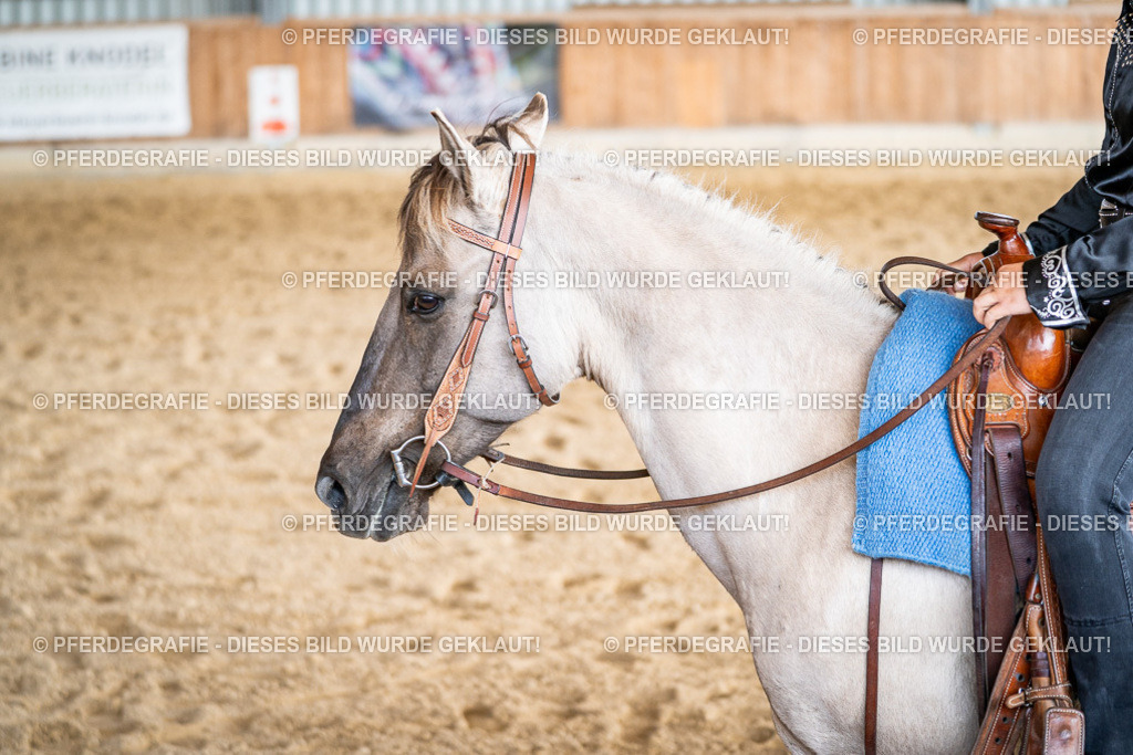 DSC09248 | Pferdegrafie