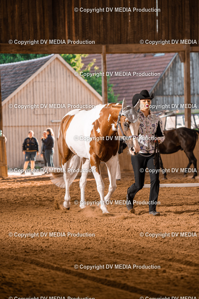 NE100065 | dv-media-shop - Realisiert mit Pictrs.com