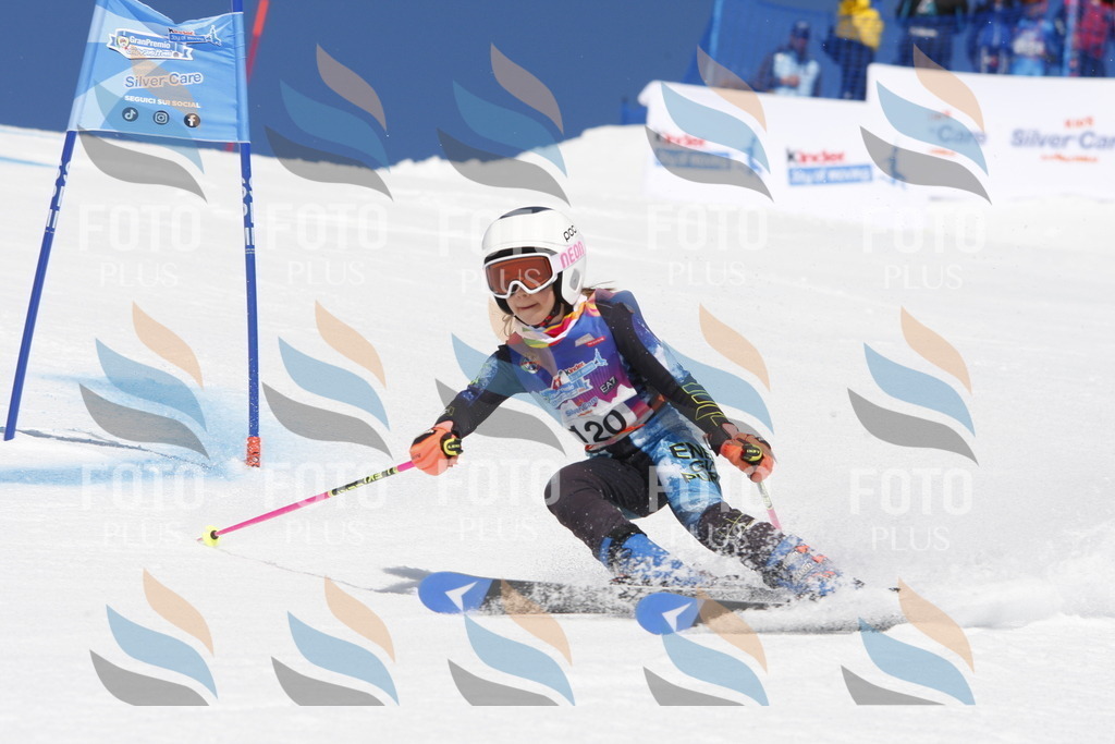 _W1G1813 | holidayphoto