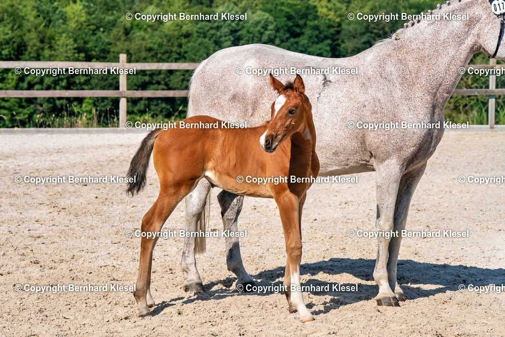 2A906447 | foto-team-bernhard - Realisiert mit Pictrs.com