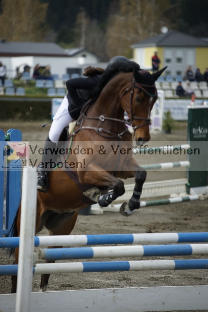 _DSC7960 | equestrian-live-com