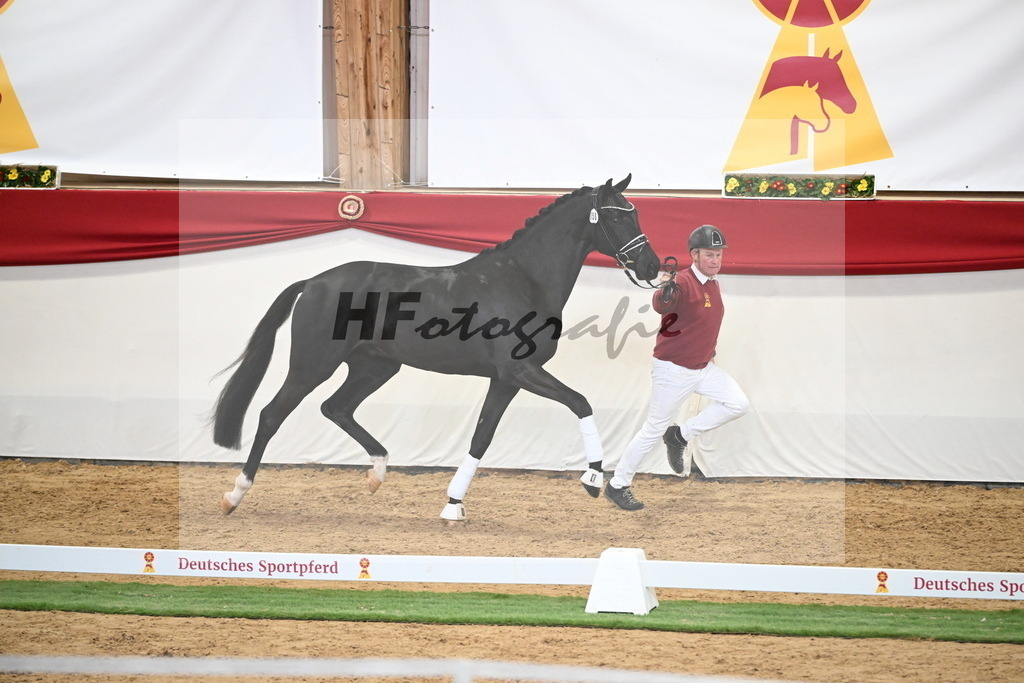 Kat.-Nr. 50 v. Donier_Meyer_2250173 | hf-fotografie - Realisiert mit Pictrs.com