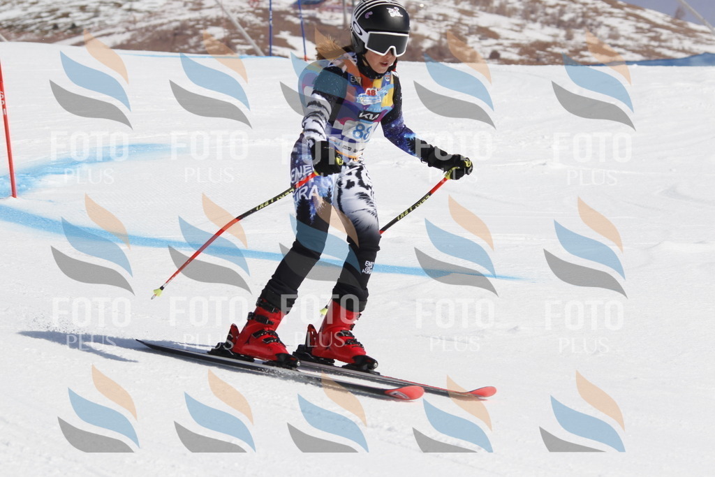 _U3G0131 | holidayphoto