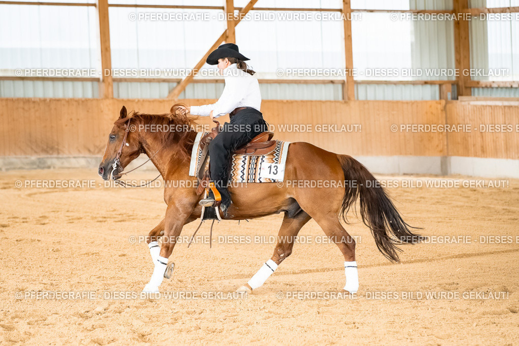 DSC02406 | Pferdegrafie