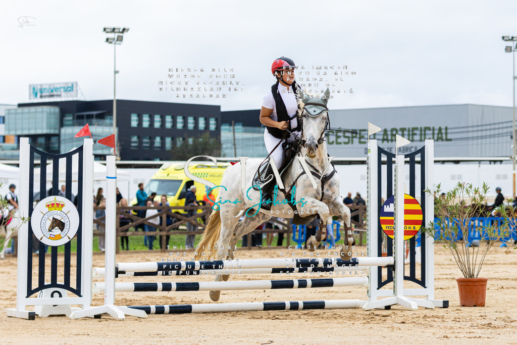 IMG_1337 | s-jay-photography - Realisiert mit Pictrs.com