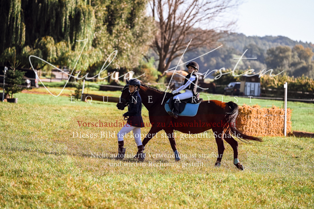 DSC_0259 | Pferde- und Turnierfotografie in Westsachsen. Pferdeportraits, Auftragszeichnungen und intuitive Kunst.