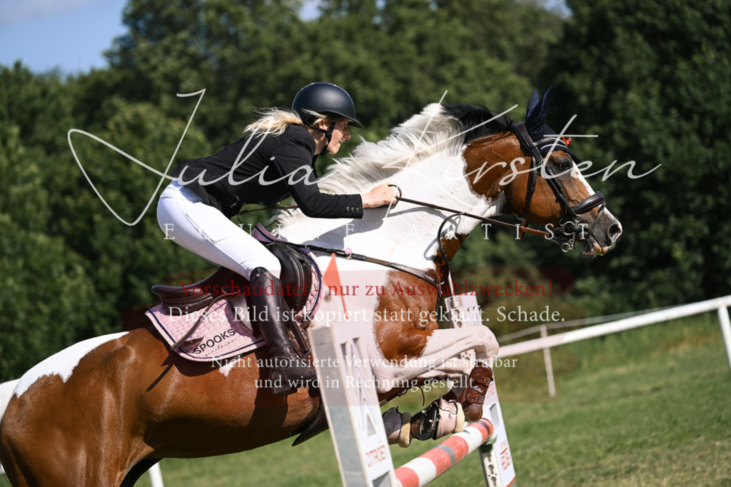 DSC_1113 | Pferde- und Turnierfotografie in Westsachsen. Pferdeportraits, Auftragszeichnungen und intuitive Kunst.