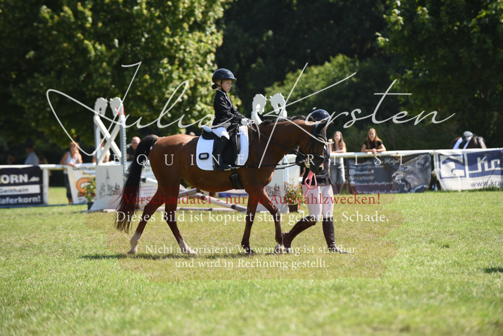 DSC_9803 | Pferde- und Turnierfotografie in Westsachsen. Pferdeportraits, Auftragszeichnungen und intuitive Kunst.