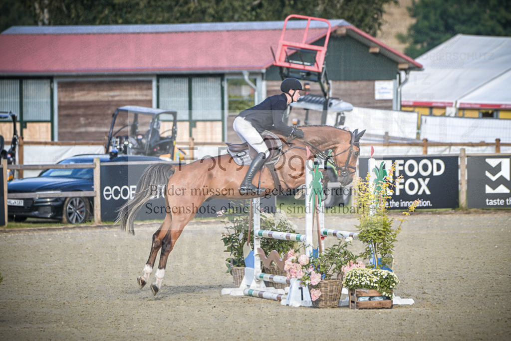 DOS_7847 | Entdecke hochwertige Reitturnierfotos von Foto Oger. Professionell, emotional und authentisch – jetzt Lieblingsmomente im Shop bestellen.Deutschlandweite Turnierfotografie. - Realisiert mit Pictrs.com