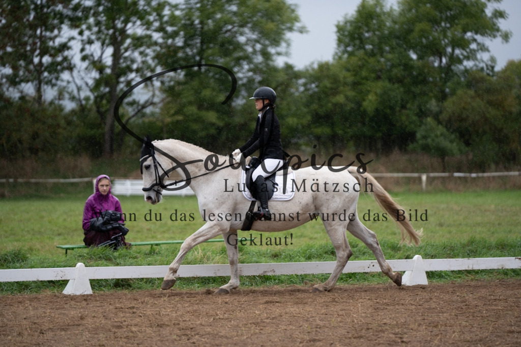 A7V05688 | Pferdefotograf