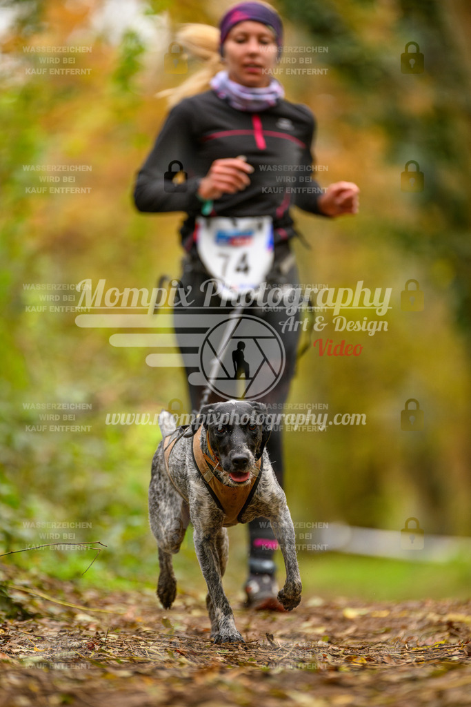 MompixPhotography_Bischwiller24_SA_Canicross-110 | PayLife