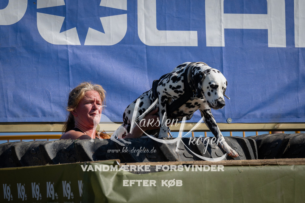 1016_ZZ98067 | kk-dogfotos