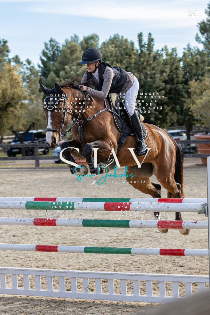 IMG_0430 | s-jay-photography - Realisiert mit Pictrs.com