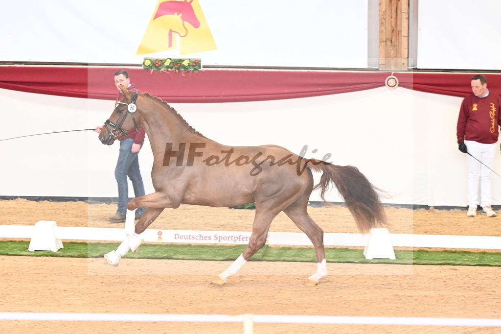 Kat.-Nr. 76 v. Vaderland_Pfefferle_2240918 | hf-fotografie - Realisiert mit Pictrs.com