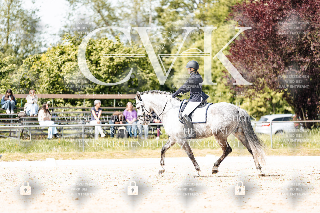 CK901565 | Turnierfotografie Pferdefotografie Trier Rheinland-Pfalz Pferdesport Reitsport Tierfotografie Sportfotografie Pferdevideo Pferdevideografie Equestrianvideography equestrianphotography  - Realisiert mit Pictrs.com