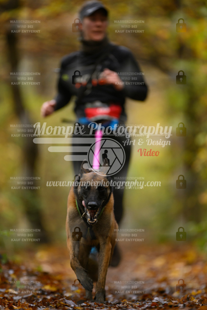 MompixPhotography_CD7S_DI_CCL-157 | mompixphotography