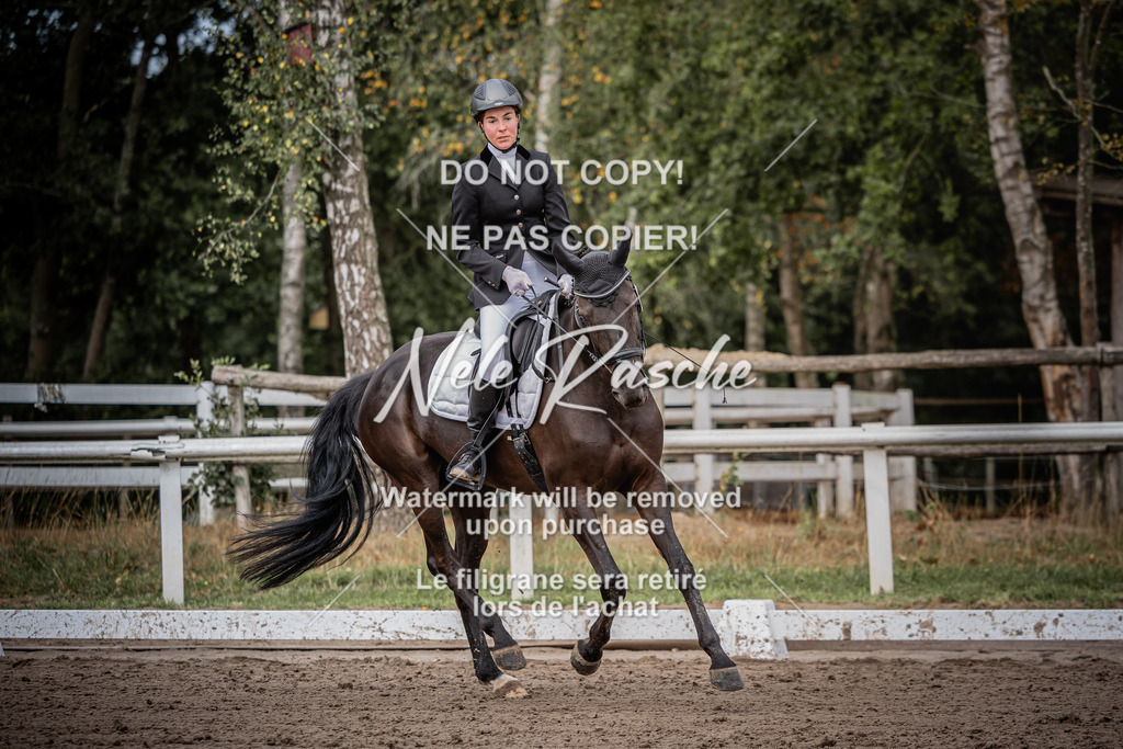 nelerasche_DrEEde_28 | nelerasche