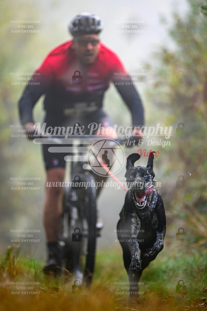 MompixPhotography_20TSB_E4_Bike-39 | PayLife