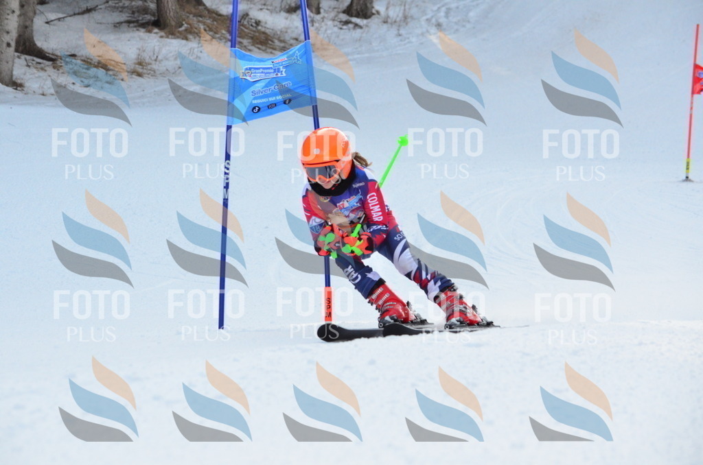 A6702 | holidayphoto