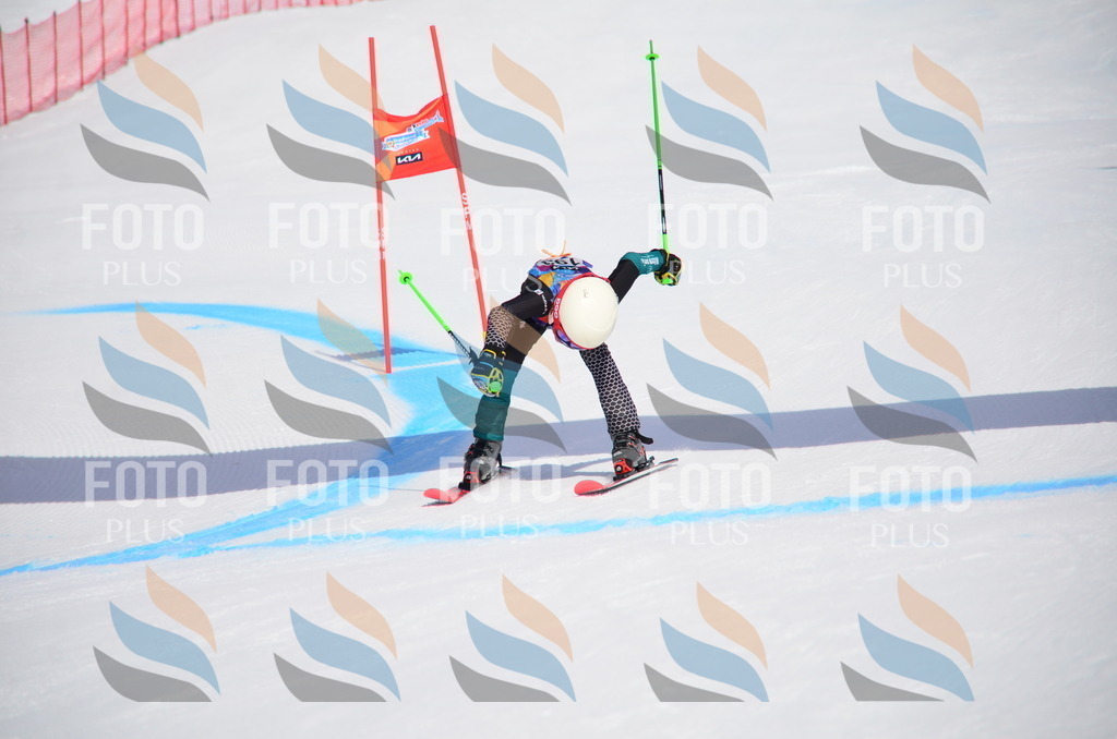 VR4_6934 | holidayphoto