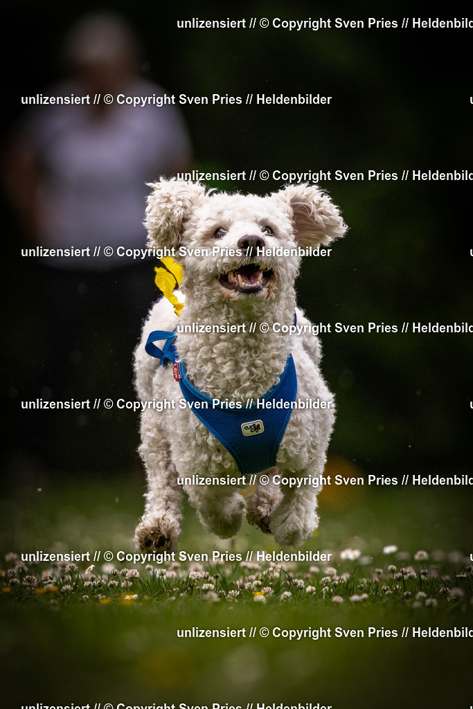 Sven Pries | 2025-05-29 - Pudelrennen KA-Durlach - Realisiert mit Pictrs.com