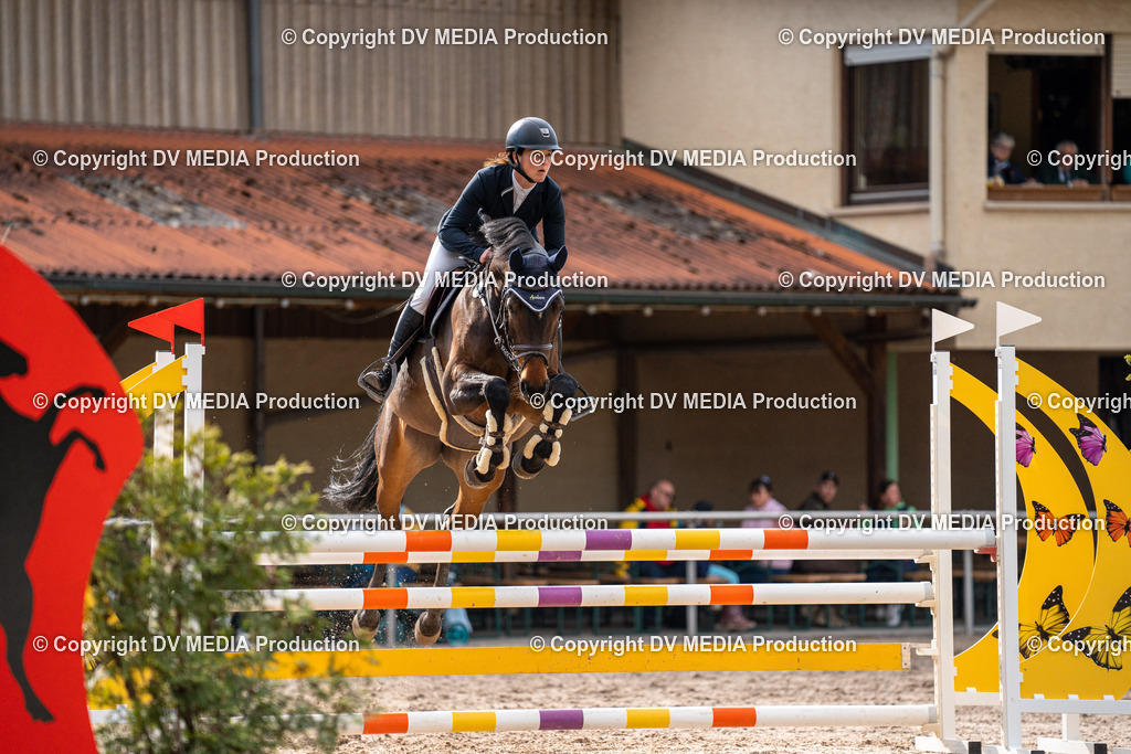 Eppelheim Tag 1-521 | dv-media-shop - Realisiert mit Pictrs.com