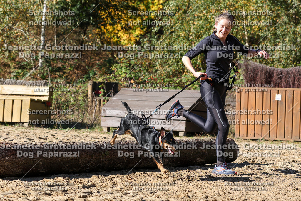 Dog Paparazzi - Strongdog 10-25-2856 | Dog Paparazzi Jeanette Grottendiek Fotografie & Videografie - Realisiert mit Pictrs.com