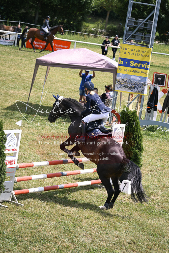 DSC_9458 | Pferde- und Turnierfotografie in Westsachsen. Pferdeportraits, Auftragszeichnungen und intuitive Kunst.
