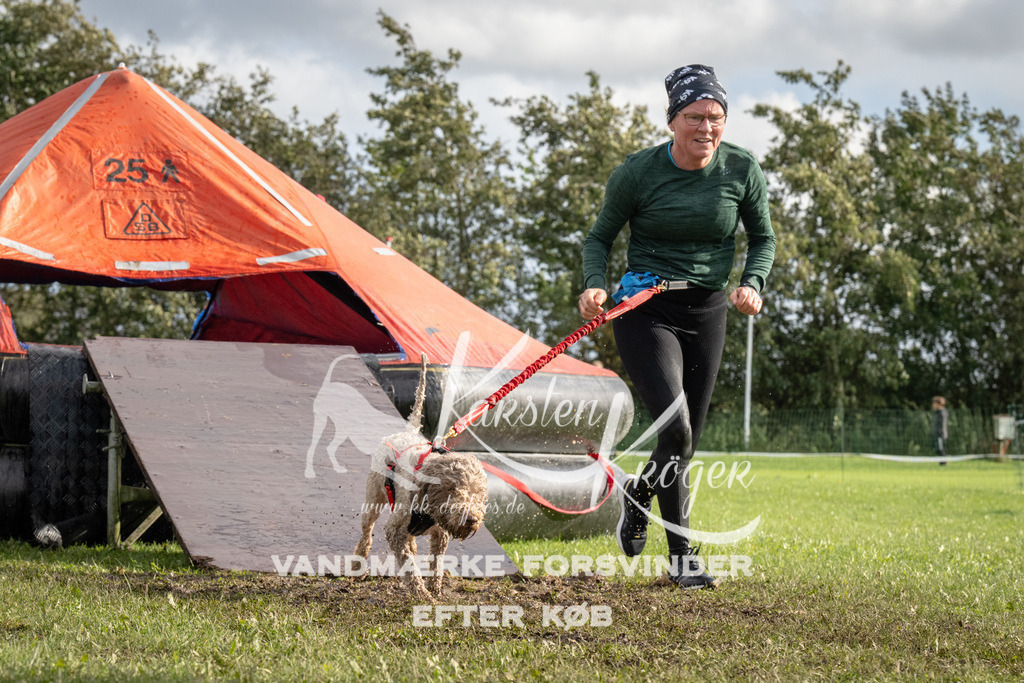 1421-94037 | kk-dogfotos