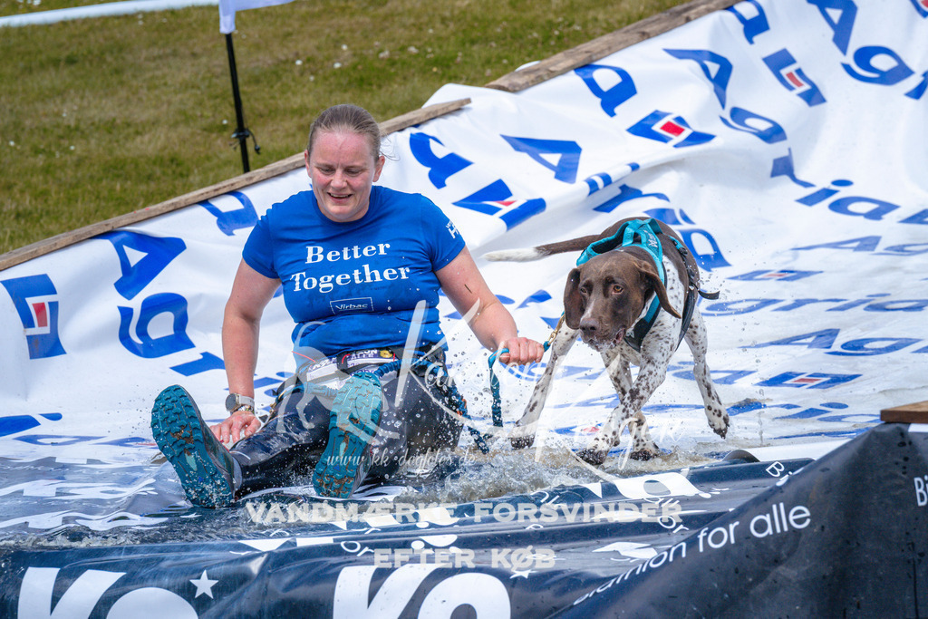 _ZZ993471053 | kk-dogfotos