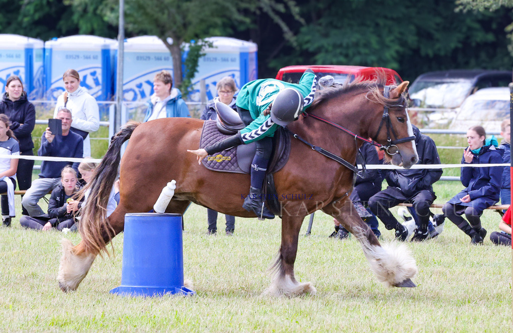 1B3A2368 | Reitsport Reiten