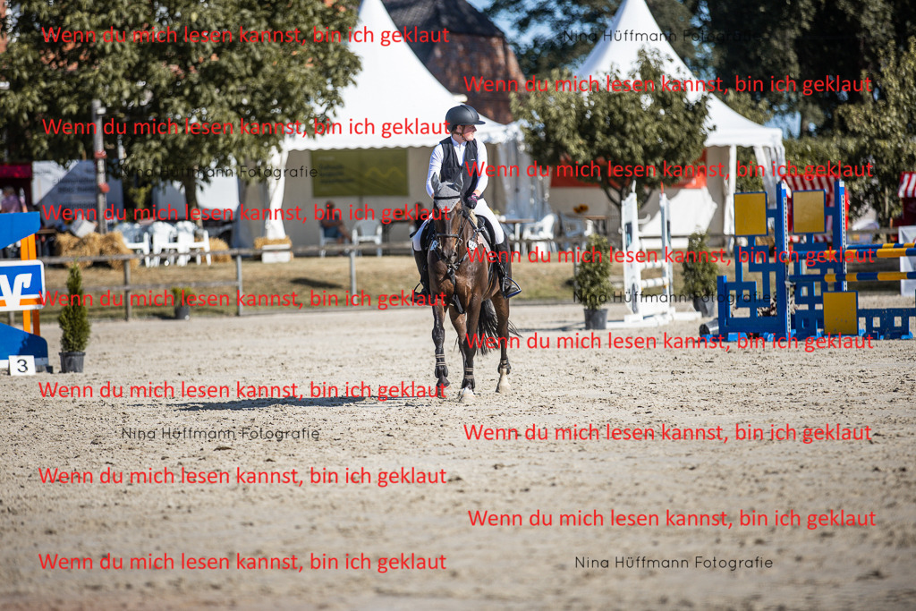 BK1A7366 | Turnierbilder Turnierfotos Nina Hüffmann Turnierfotografie Pferdefotografie Tierzeichnung Haustierzeichnung Pferdezeichnung Hundezeichnung Videograf  - Realisiert mit Pictrs.com