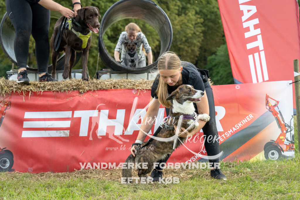 1034_ZZ92470 | kk-dogfotos