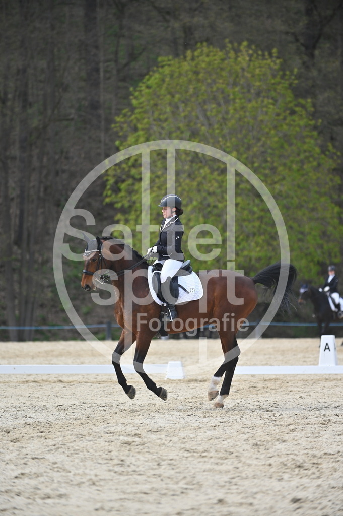 DSC_4985 | sattelsport - Realisiert mit Pictrs.com