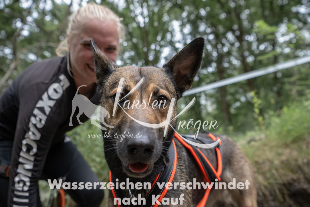 1331_ZZ94393 | kk-dogfotos