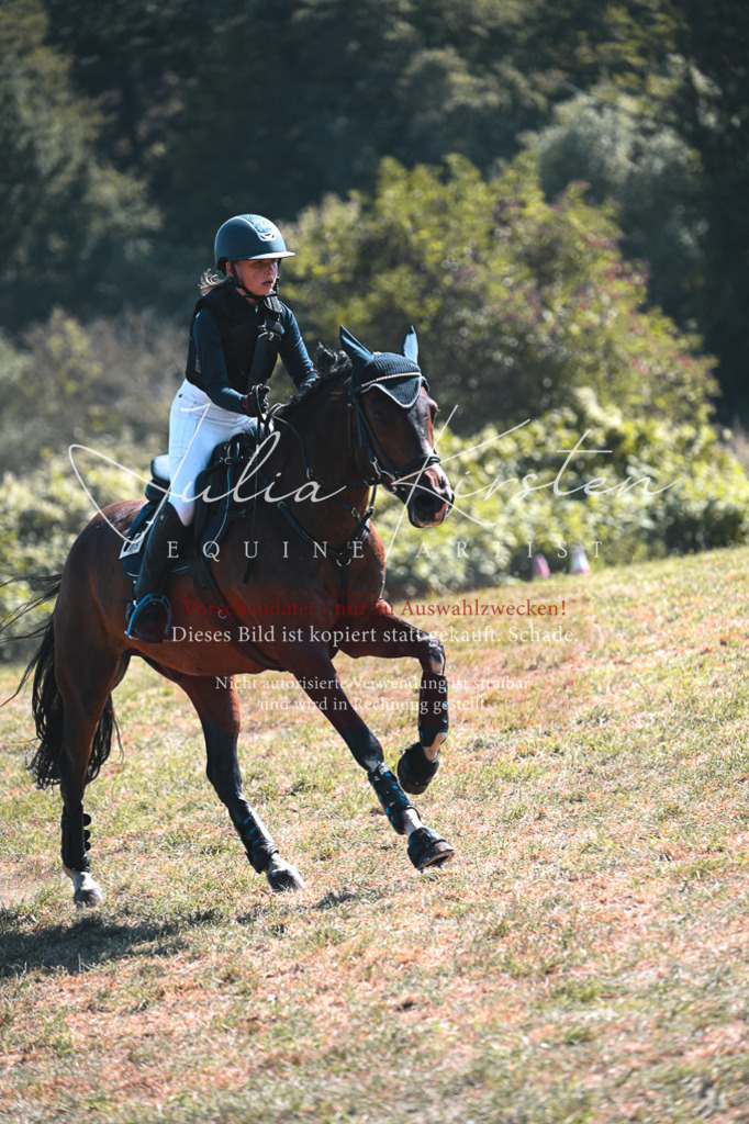DSC_8383 | Pferde- und Turnierfotografie in Westsachsen. Pferdeportraits, Auftragszeichnungen und intuitive Kunst.
