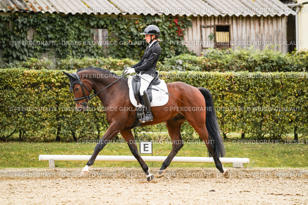 DSC02220 | Pferdegrafie