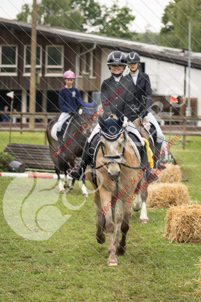 IMG_7969 | Sport-, Event- und Tierfotos in Profiqualität. Einfach auswählen, bestellen und herunterladen. Dein Moment – perfekt festgehalten.
