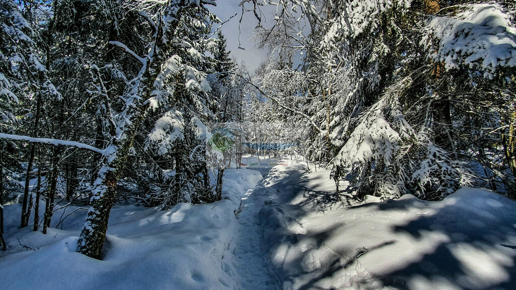 Platte Winter | Impressionen rund um Hochfranken - Frankenwald - Fichtelgebirge - Realisiert mit Pictrs.com