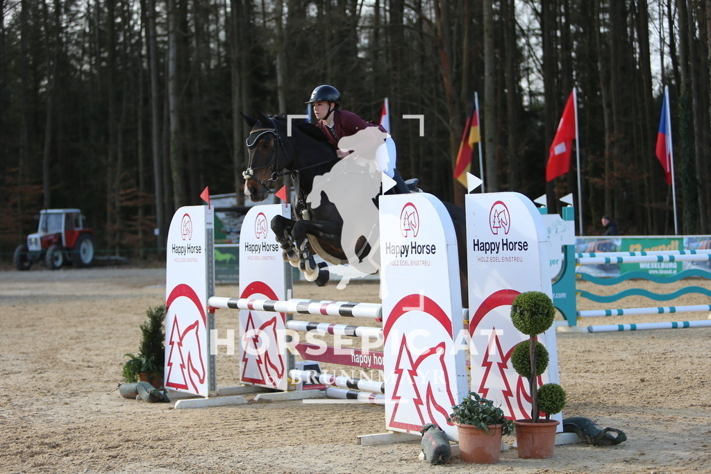 DL2Q8435 | Willkommen bei Brunnmayr - Design & Fotografie – Ihrem Spezialisten für Reitturniere und Pferdeveranstaltungen in Oberösterreich, Salzburg und Bayern! Seit über 17 Jahren sind wir leidenschaftlich dabei.