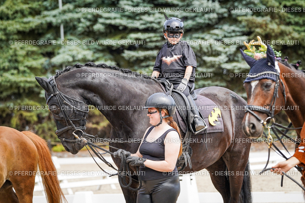 DSC03167 | Pferdegrafie