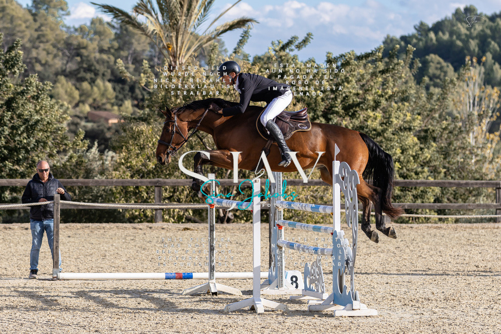 IMG_0370 | s-jay-photography - Realisiert mit Pictrs.com