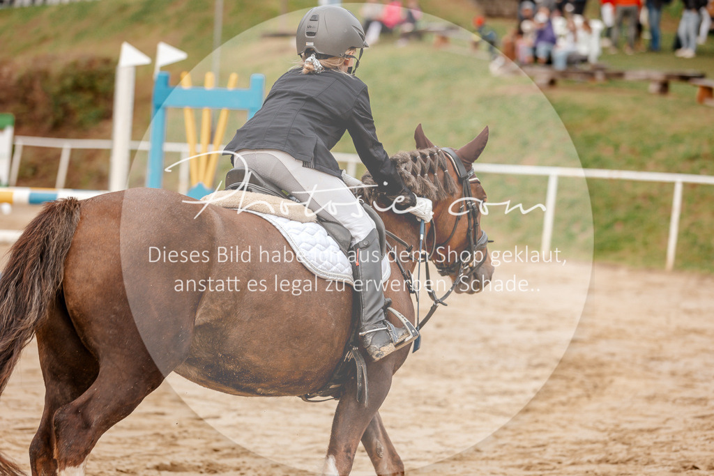 3I6A6608 | Stimmungsvolle Portraits und Reitsportfotografie im Ruhrgebiet und im Münsterland.

Pferdefotografie, Hundefotografie, Tierfotografie, Reportagen, Portraits von Tier und Mensch, Turnierfotografie in Bochum, Recklinghausen, Marl, Haltern am See, Dülmen.. - Realisiert mit Pictrs.com