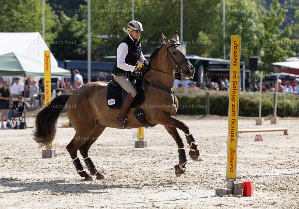 WS_SPEED_60_KerstinBernhardt-5 | working equitationturnier fotograf videograf stoibphotography marixx film working equitation deutschland reitsport turnierfotografie eventfotografie equestrian events