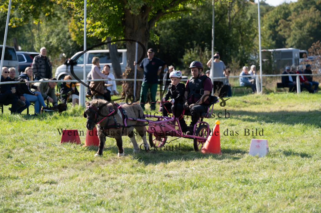 A7V04395 | Pferdefotograf