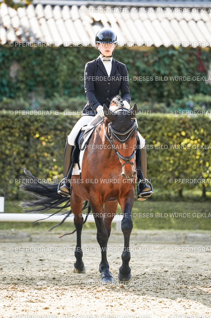 DSC07234 | Pferdegrafie