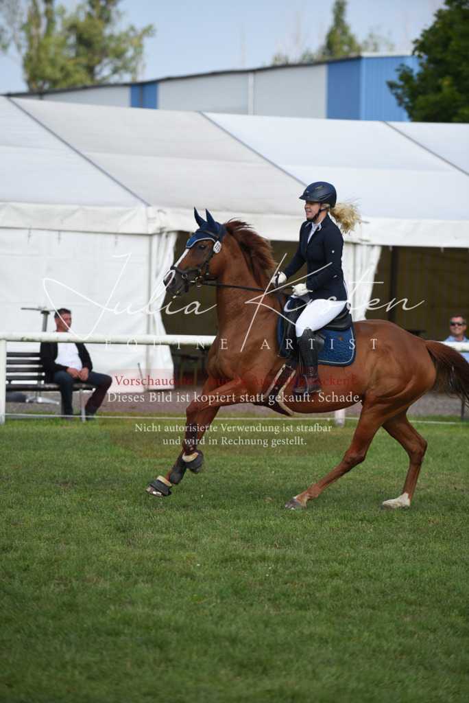 DSC_8848 | Pferde- und Turnierfotografie in Westsachsen. Pferdeportraits, Auftragszeichnungen und intuitive Kunst.
