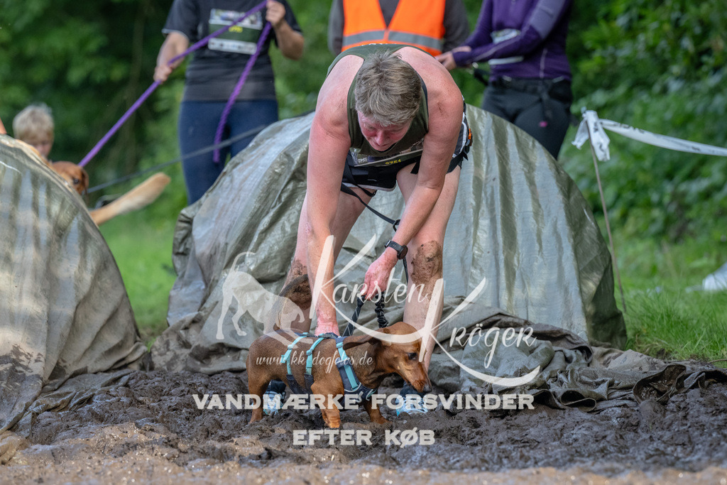 1734_ZZ92634 | kk-dogfotos